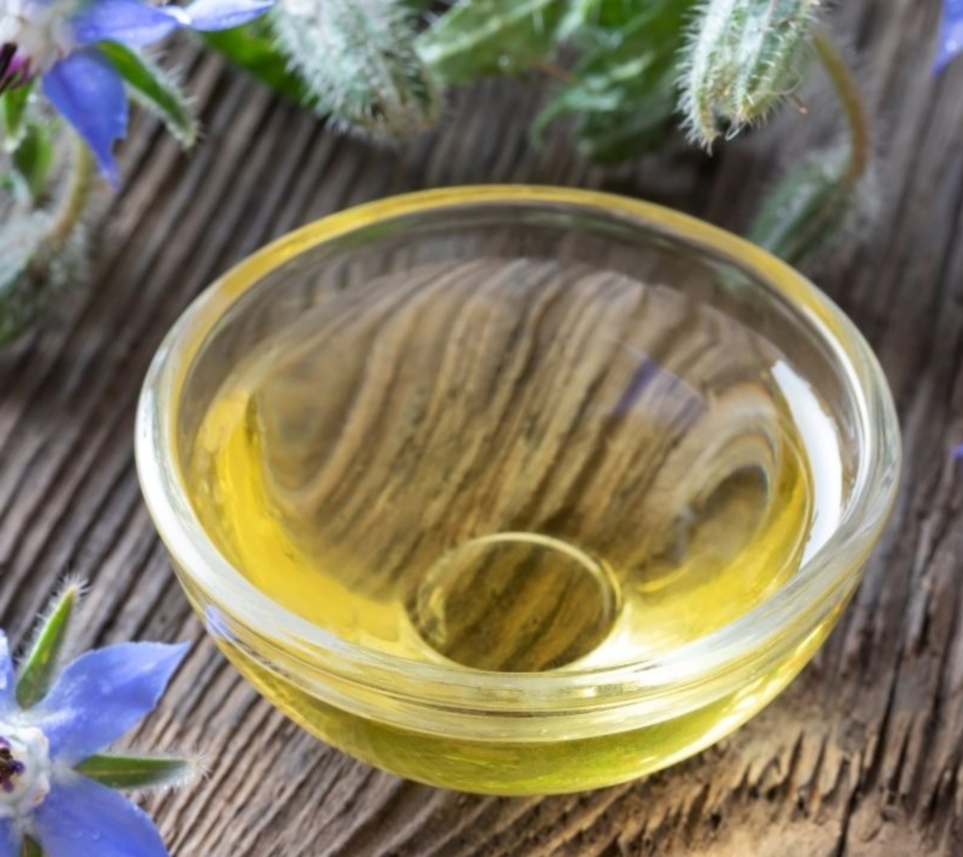 Olej z ogórecznika – źródło GLA